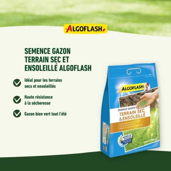 Algoflash - ALGOFLASH - Gazon terrain sec ensoleillé 1kg - Image 4
