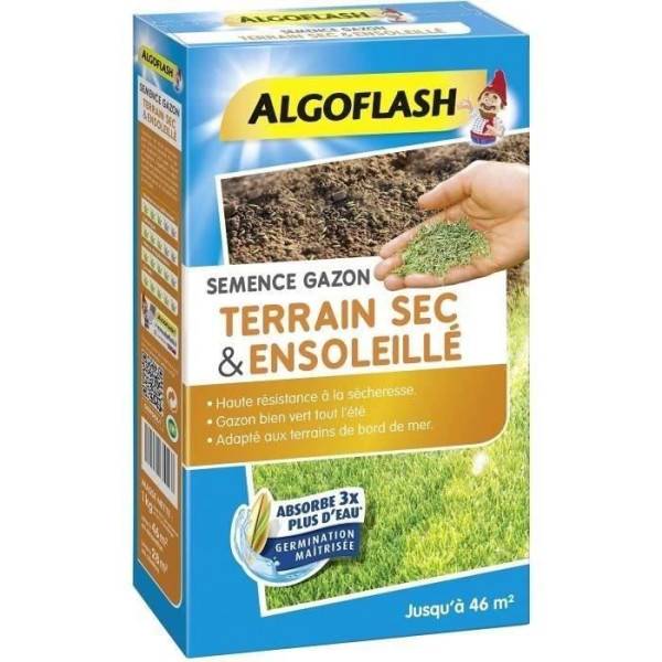 Algoflash - ALGOFLASH - Gazon terrain sec ensoleillé 1kg - Image 2