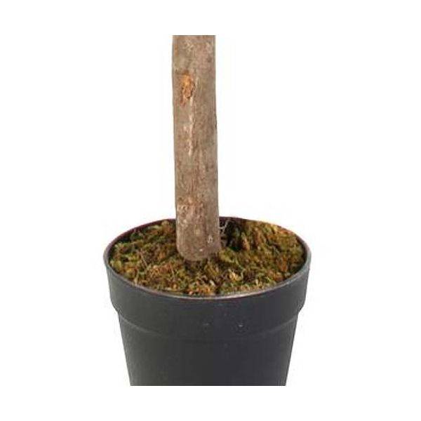 The Home Deco Factory - Citronnier artificiel en pot 120 cm The Home Deco Factory - Image 4