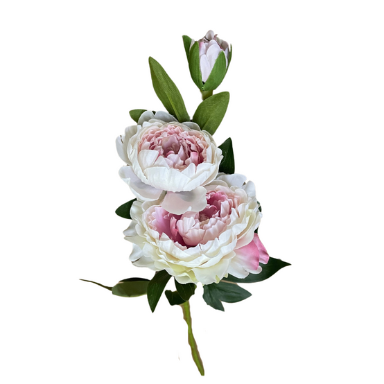 Pivoine Artificielle Creme et rose - Image 3