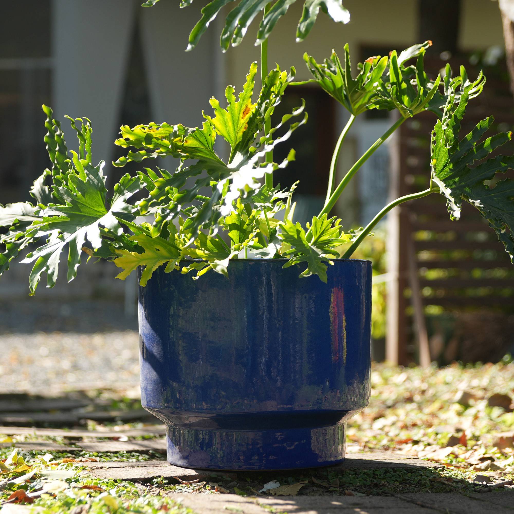 PANGIVO - Ensemble de 3 pots de fleurs en céramique, finition bleue unie, Ø 38,1/30,5/22,9 cm - PANGIVO - Image 3