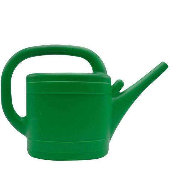 Arrosoir - NATURE - 5 L - Pomme d'arrosage - Vert - Image 2