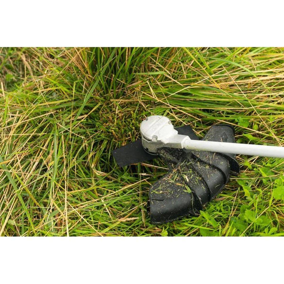 Bosch - Lame de débroussailleuse de 25 cm 2 dents | F016800667 - Bosch - Image 2