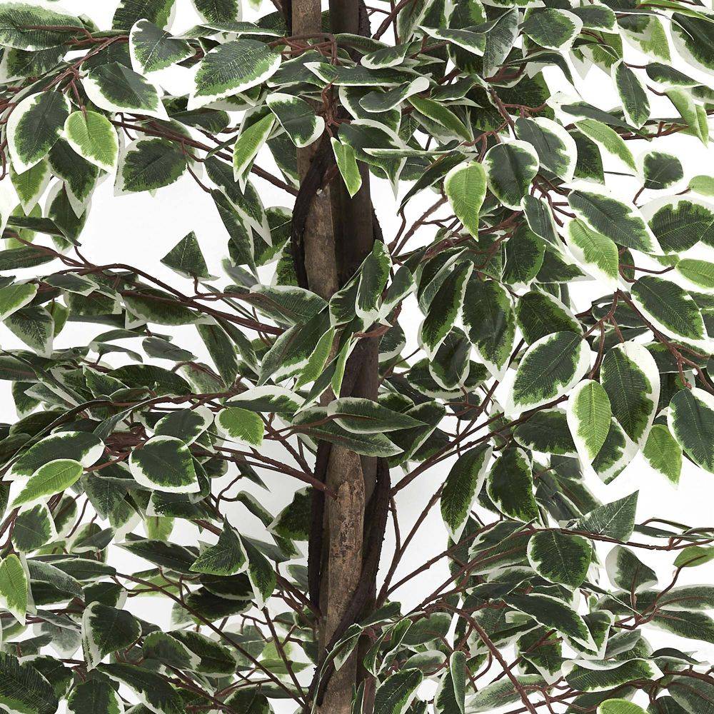 The Home Deco Factory - Plante artificielle feuillage panaché 185 cm - Image 3