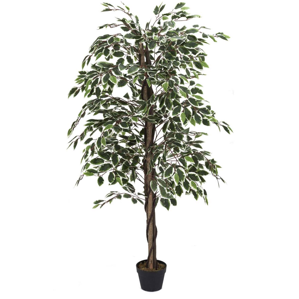 The Home Deco Factory - Plante artificielle feuillage panaché 185 cm - Image 1