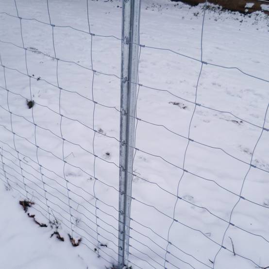 300 m clôture de protection , clôture forestière, clôture de pâturage 150/13/15 + poteaux de clôture à profil en Z - Image 3