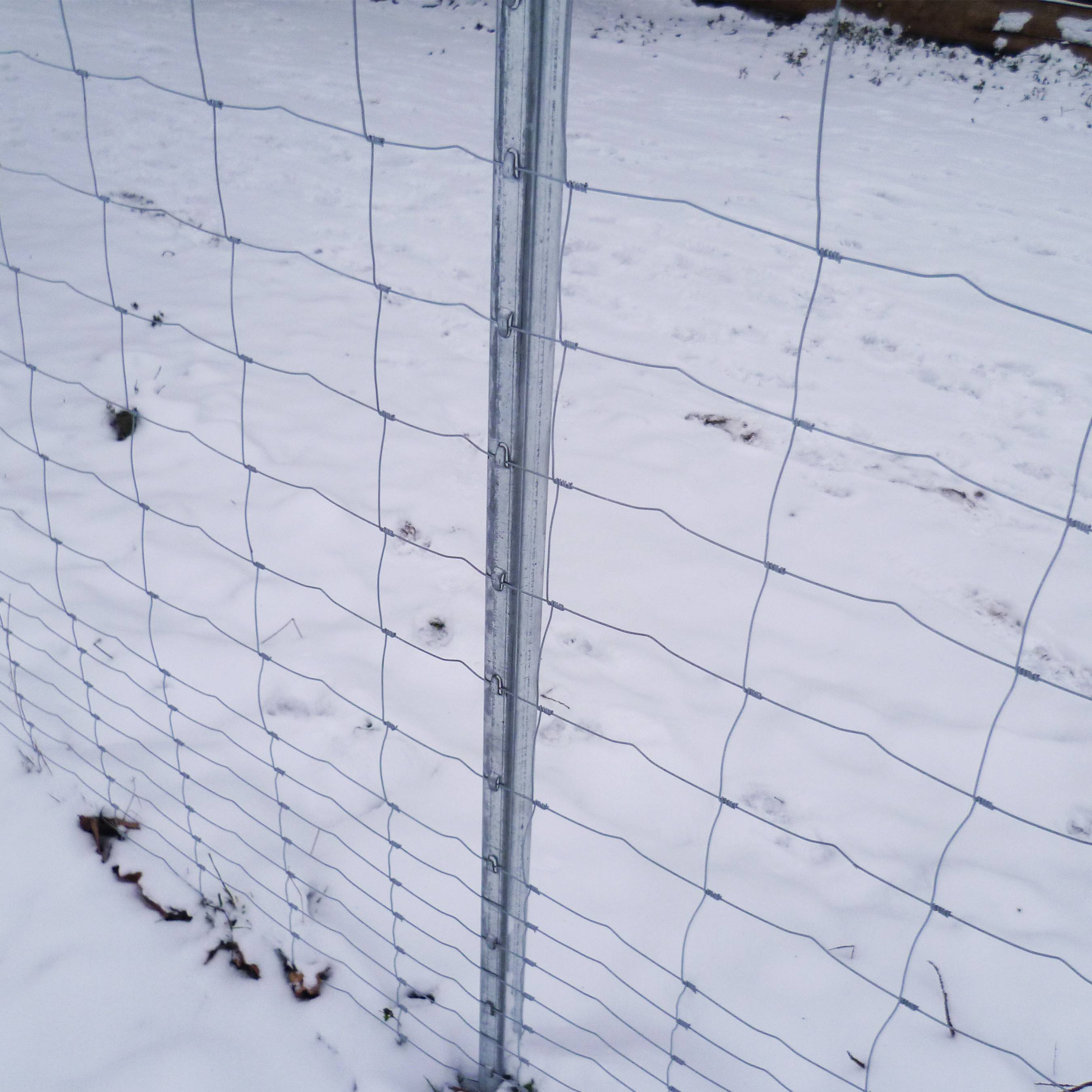 300 m clôture de protection , clôture forestière, clôture de pâturage 150/13/15 + poteaux de clôture à profil en Z - Image 3