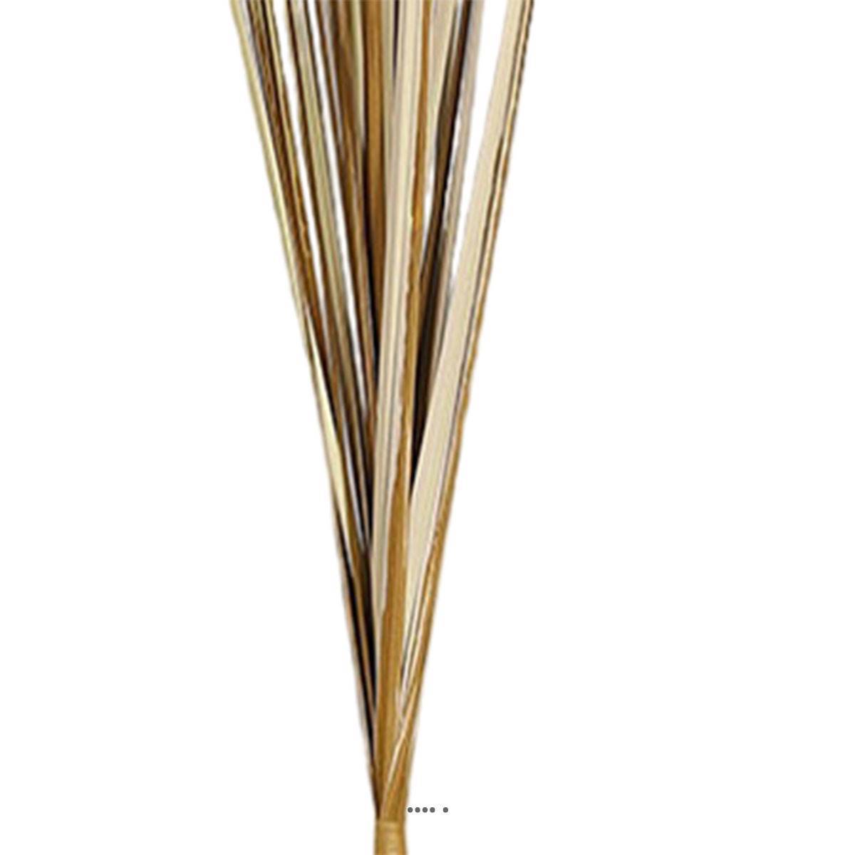Artificielles - Isolepsis artificiel H 70 cm en tige brun ouvert superbe - Image 3