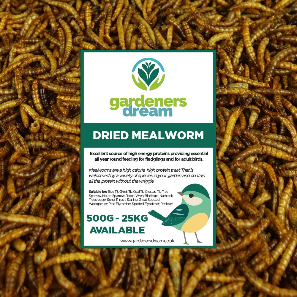 Gardenersdream - 5Kg - Vers De Farine Séchés Gardenersdream - Friandises Nutritives Pour Oiseaux Sauvages  - GardenersDream - Image 1
