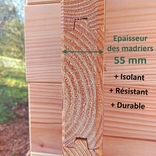 Studio de jardin NANTUA 20m² - Bois Douglas épaisseur 55mm - Porte & fenêtres bois - Toiture Bacacier avec voliges ss toiture - MON CHALET DE JARDIN - Image 4