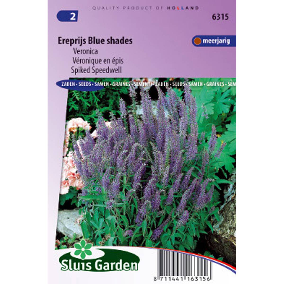 Graines de Véronique en épis Blue Shades - Veronica spicata le sachet de 1700 graines environ (0,2g)
