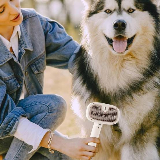DtopbuyAge - Brosse vapeur pour chat et chien - Toilettage et massage DtopbuyAge - Image 2