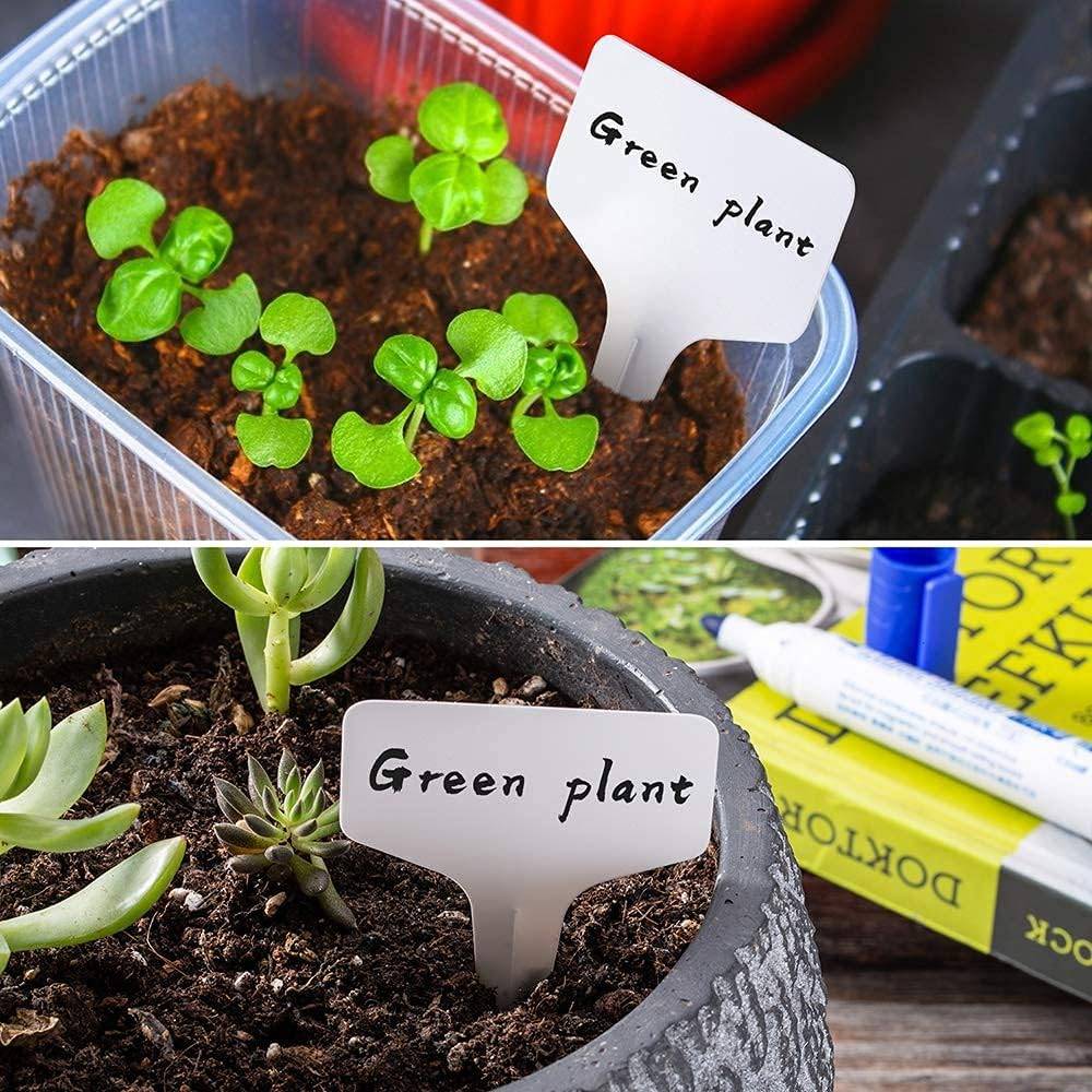 Lot de 100 Étiquettes de plantes en forme de T, Matière plastique, Réutilisable - IntiMeg - Image 3