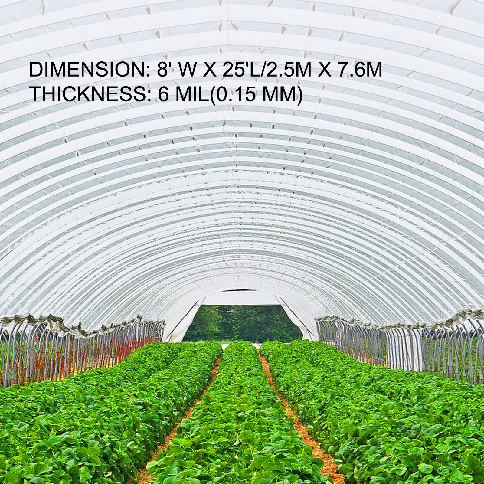 Vevor - VEVOR Film effet serre 2,5x7,6 m, 0,15 mm, polyéthylène. Agriculture, construction. - Image 3