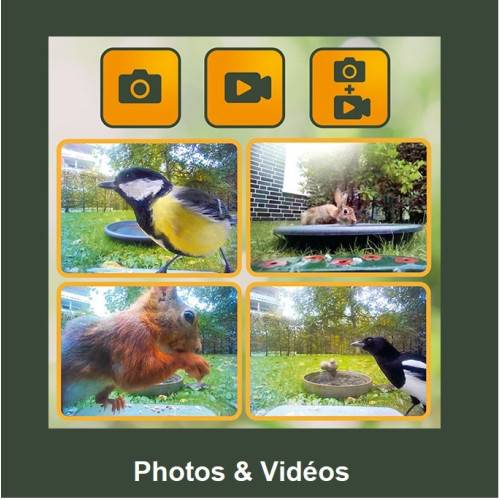 Mangeoire à oiseaux avec caméra HD BirdyCam EASYPIX - Image 2