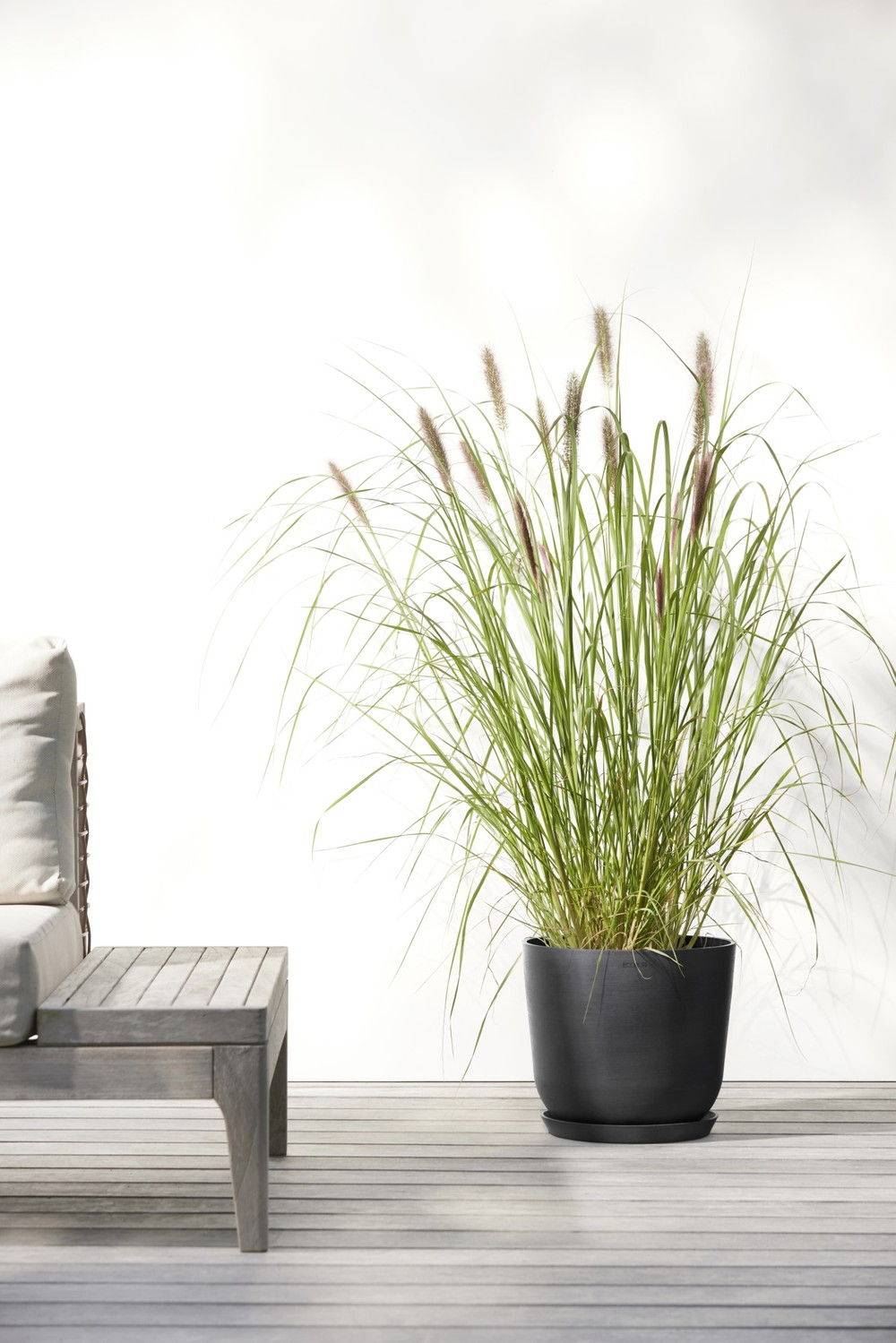 Ecopots - Pot Rond Oslo 25 Gris Foncé - Ø 25 x H. 21,8 cm - 7,7 L ECOPOTS - Image 5