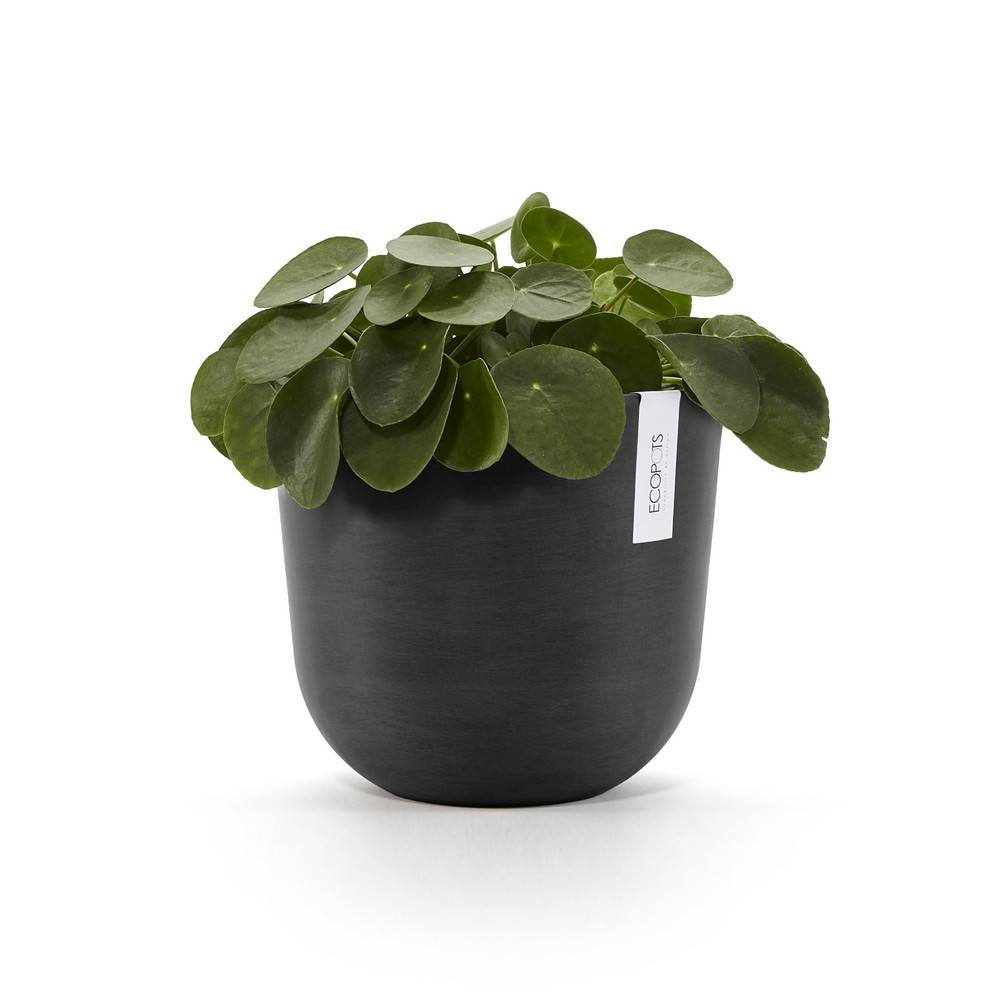 Ecopots - Pot Rond Oslo 25 Gris Foncé - Ø 25 x H. 21,8 cm - 7,7 L ECOPOTS - Image 2