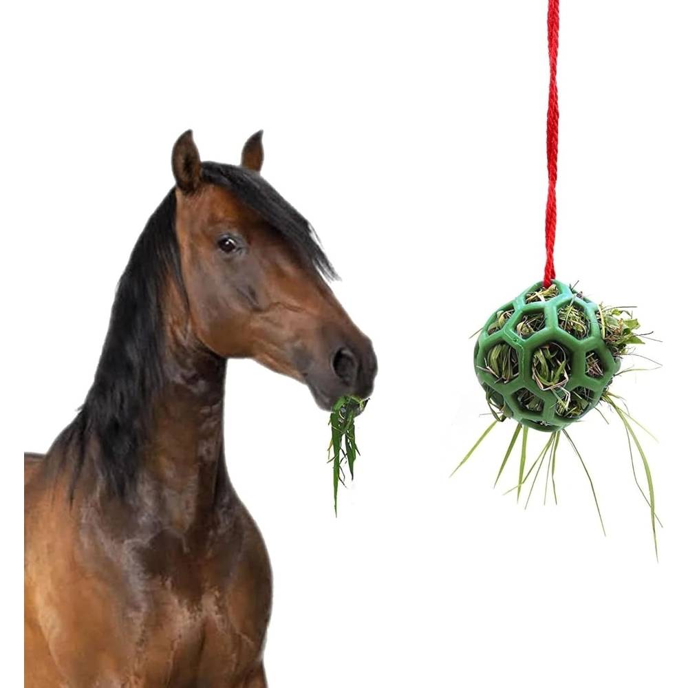 Mangeoire pour chevaux verte - MCBOSON - Image 1