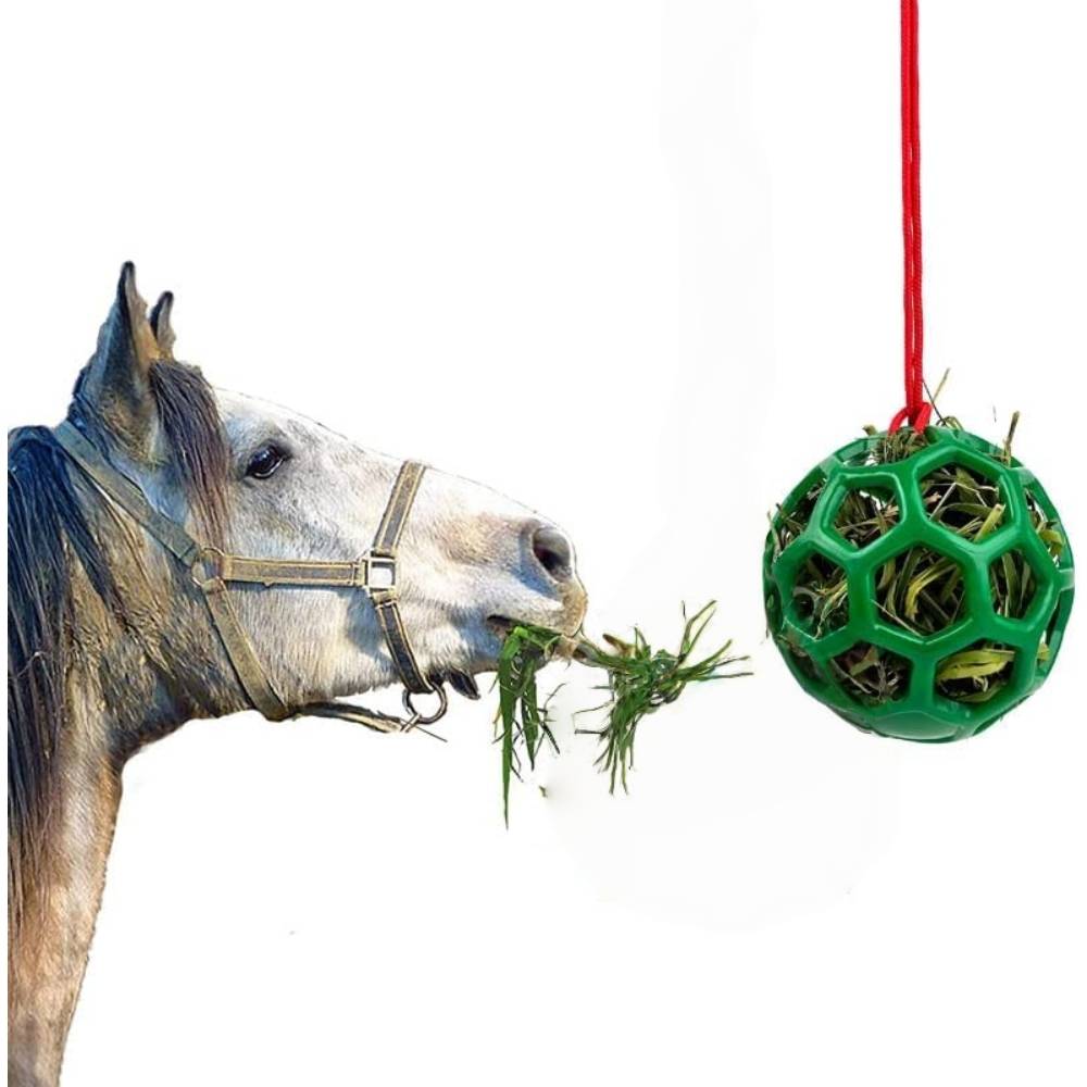 Mangeoire pour chevaux verte - MCBOSON - Image 2