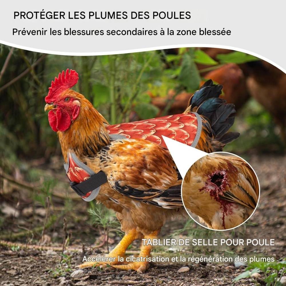 Selle de protection pour poules DtopbuyAge - Image 4
