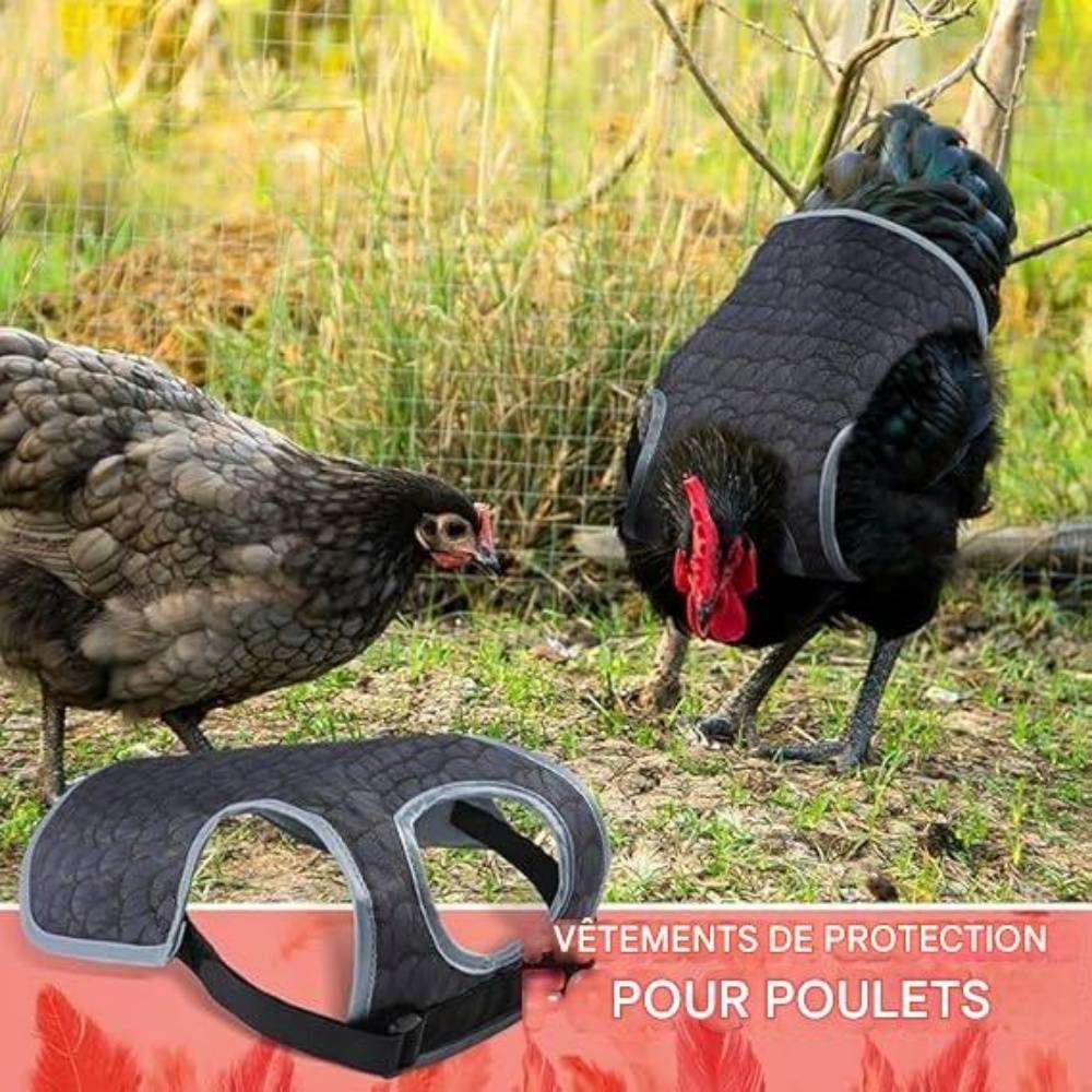 Selle de protection pour poules DtopbuyAge - Image 2