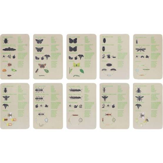Esschert Design - Set explorateur avec sac pour enfant Insectes Kids In The Garden - Image 4
