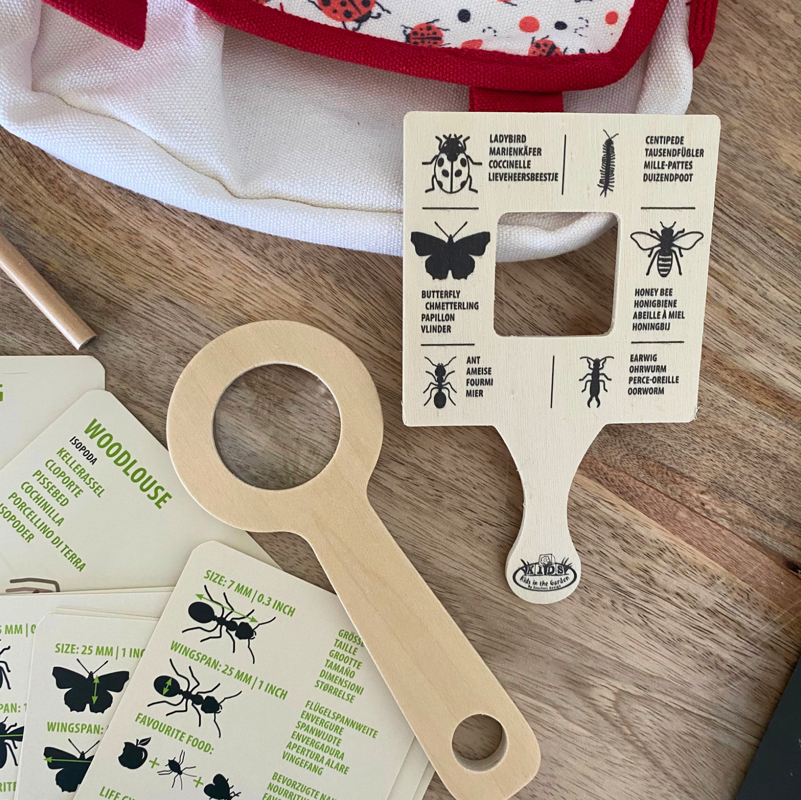 Esschert Design - Set explorateur avec sac pour enfant Insectes Kids In The Garden - Image 6