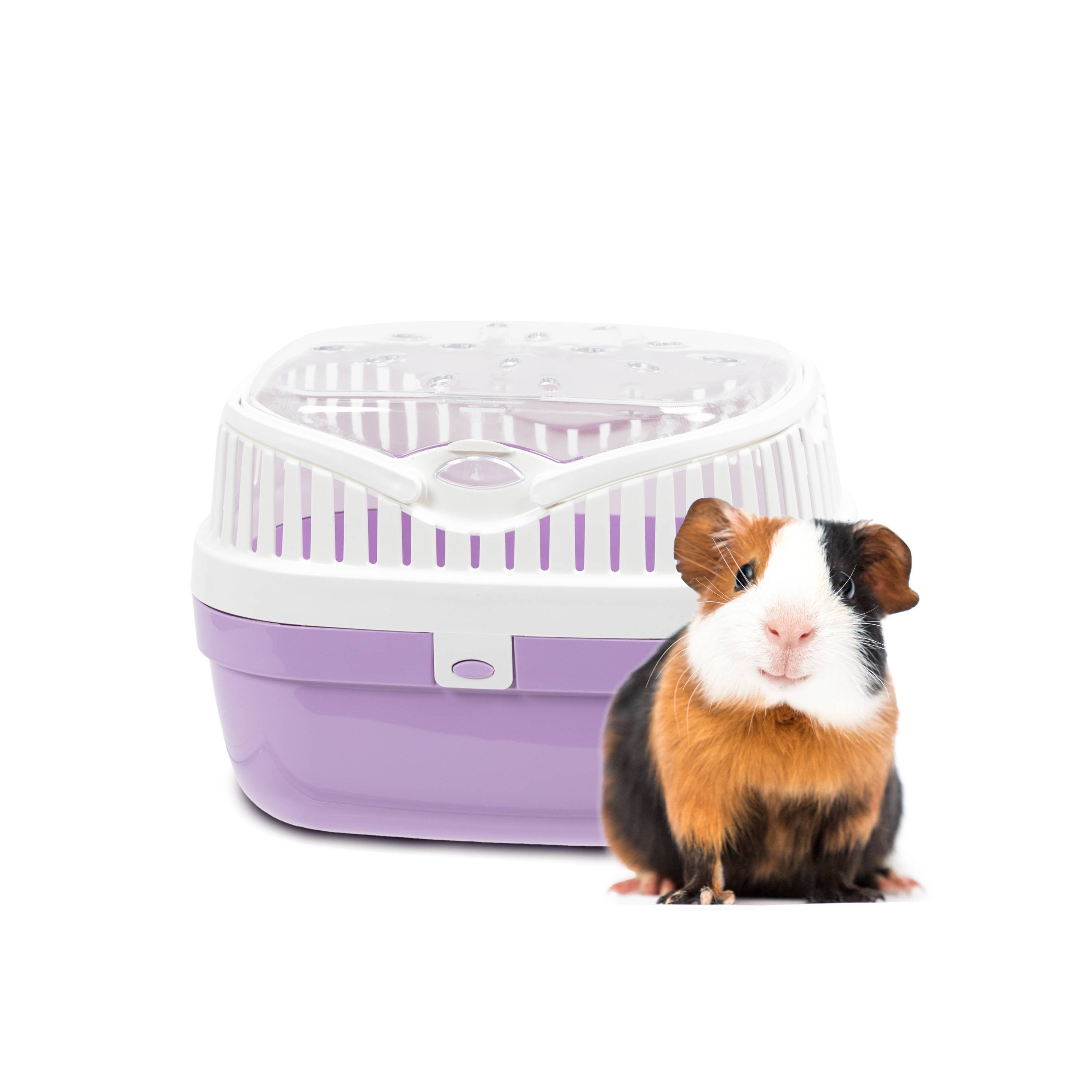 Ferplast - Ferplast Transport pour cochons d'inde et autres rongeurs ALADINO MEDIUM Cage de transport pour animaux domestiques, rongeurs, cochons d'inde, - Image 3