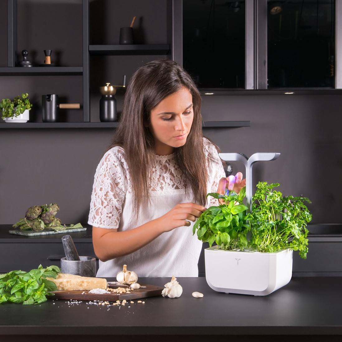 Veritable - Potager d'intérieur Autonome Véritable EXKY SMART Arctic White - Livré avec 2 Lingots - Véritable - Image 3