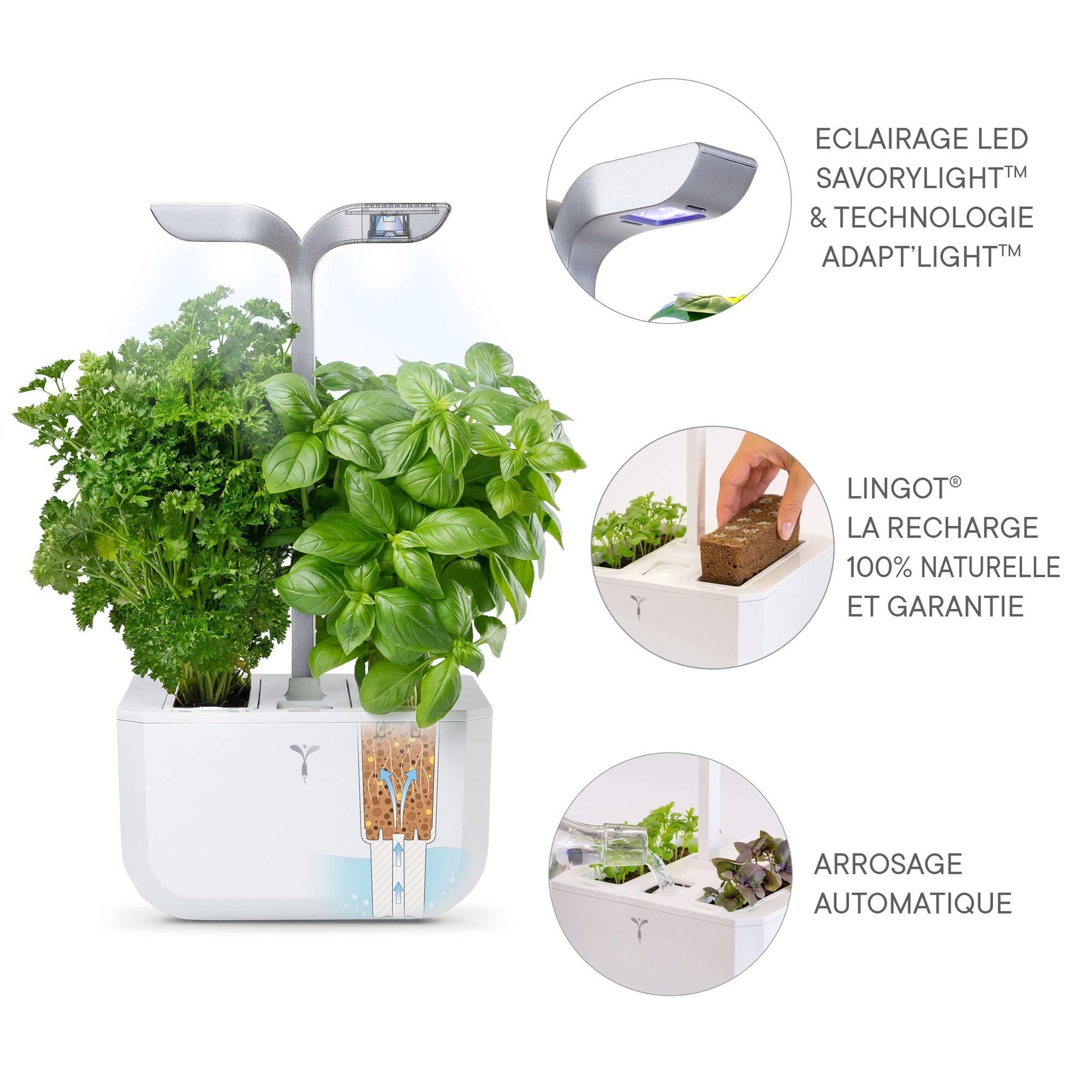 Veritable - Potager d'intérieur Autonome Véritable EXKY SMART Arctic White - Livré avec 2 Lingots - Véritable - Image 4