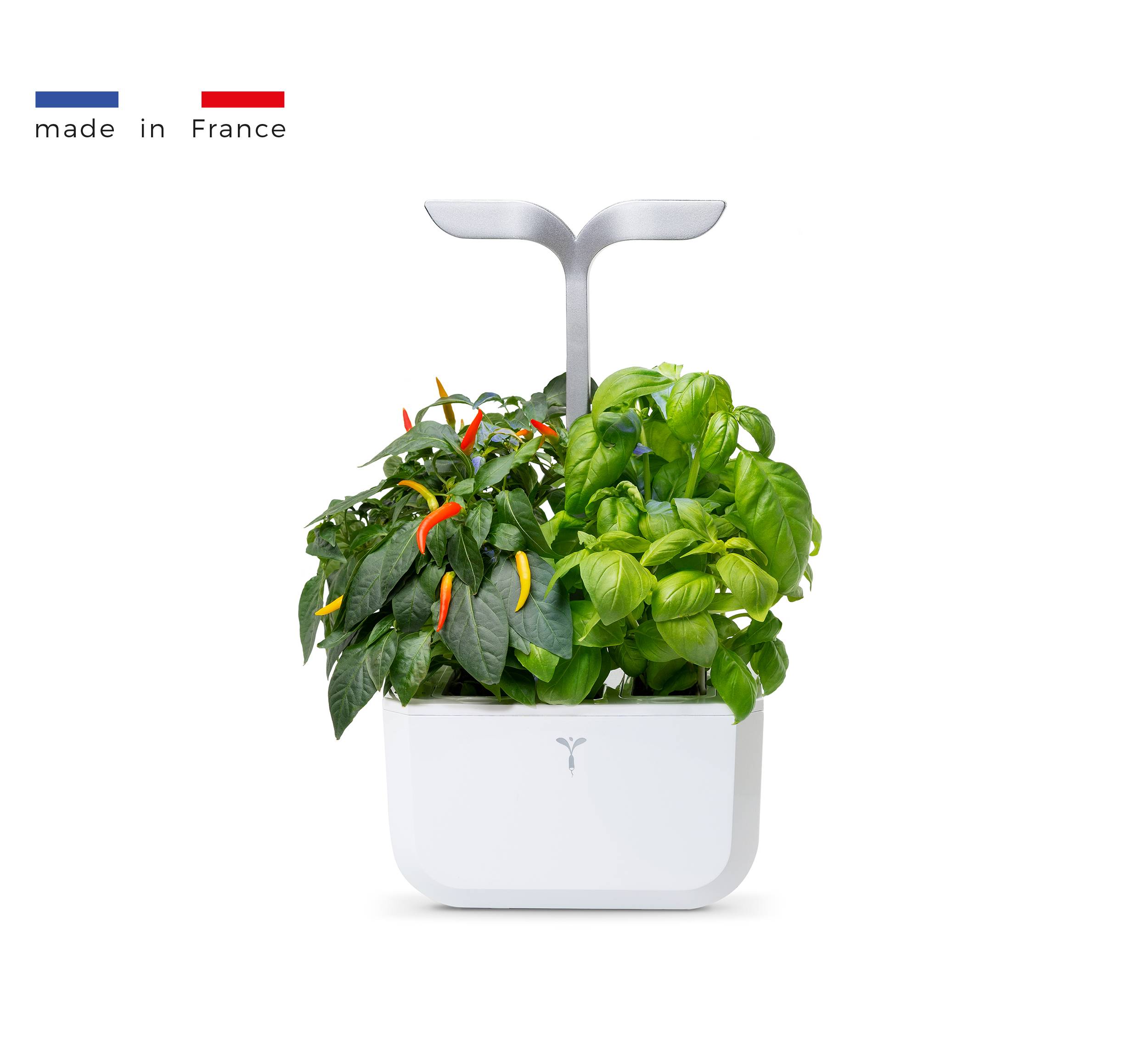Veritable - Potager d'intérieur Autonome Véritable EXKY SMART Arctic White - Livré avec 2 Lingots - Véritable - Image 1