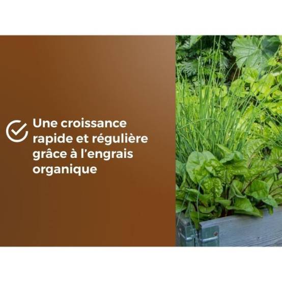 Or Brun - Terreau Plantes Aromatiques Et Carré Potager Uab 6 L / Nc - Or Brun - Image 4