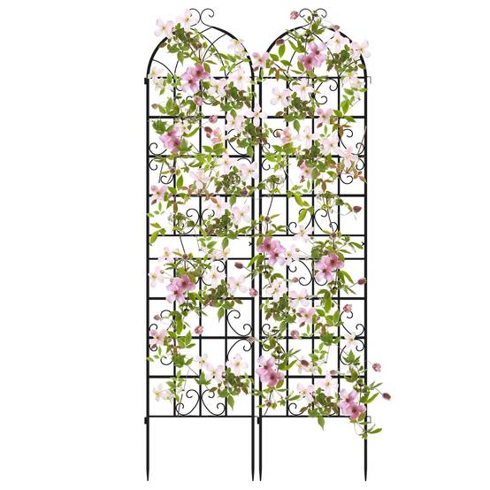 Lot de 2 Treillis de Jardin en Métal 220x50cm Treillis Décoratif Extérieur pour Plantes Grimpantes - Image 1