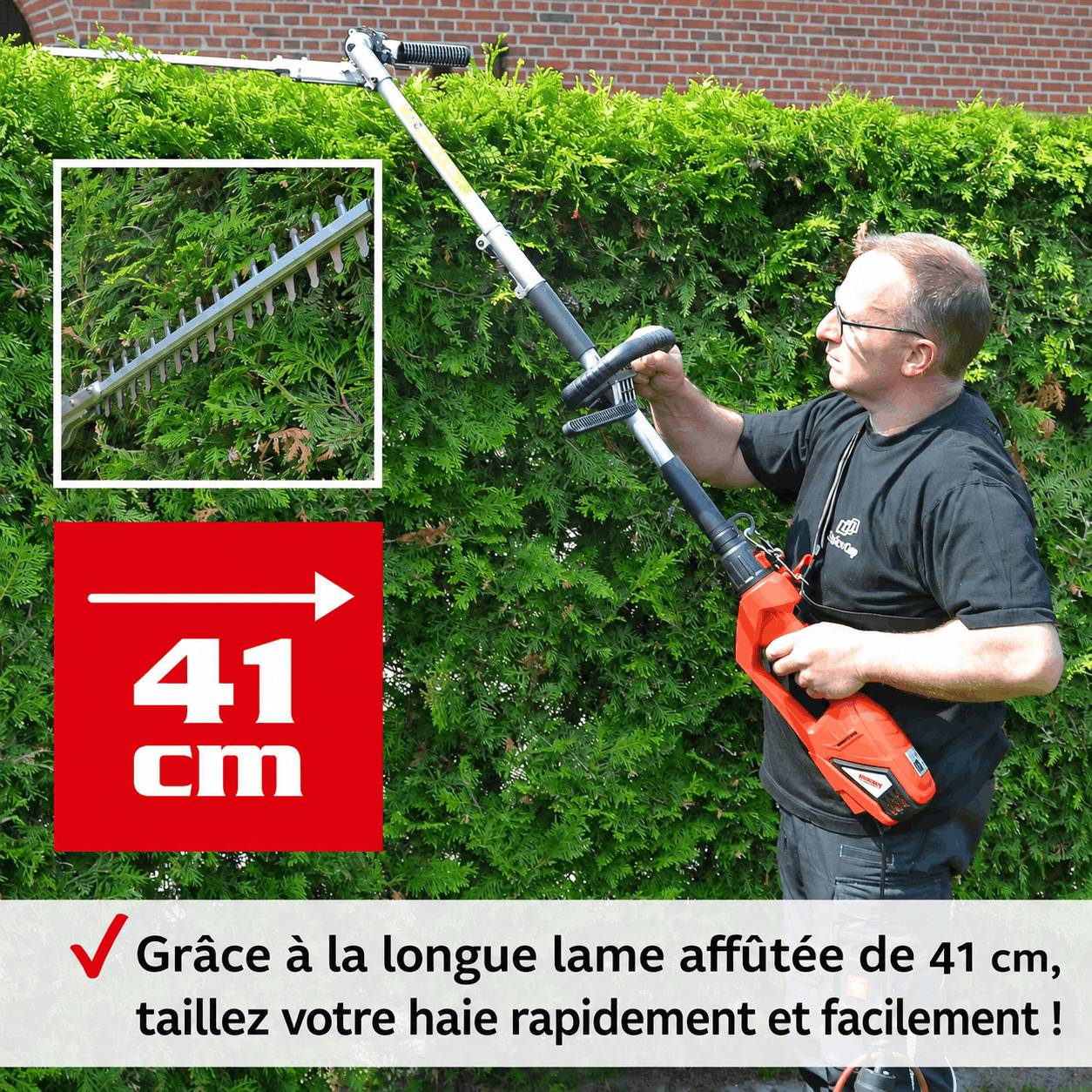 BB Loisir - Hecht 695 Taille haies telescopique electrique 900W pour arbustes et buissons - Image 8