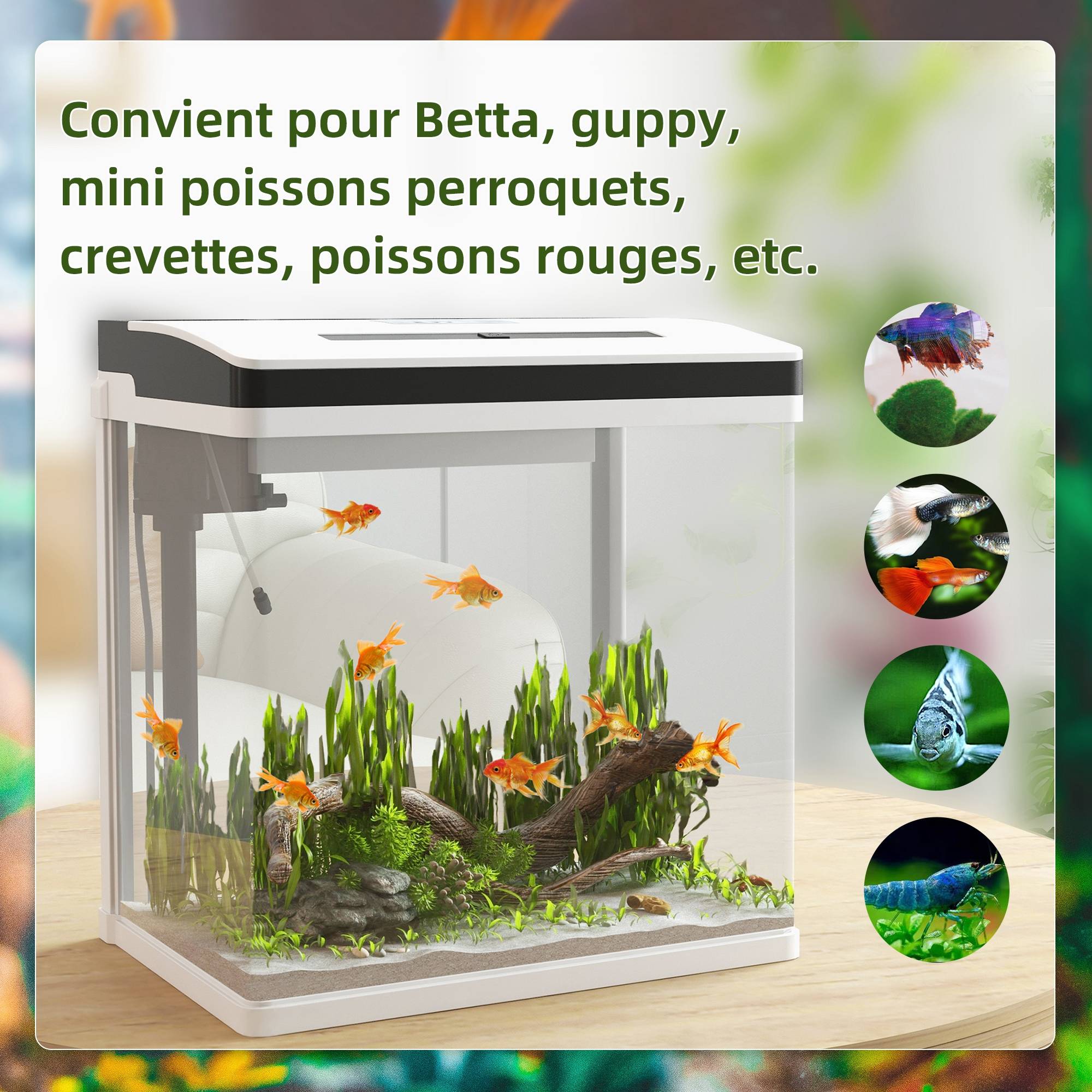 Sans Marque - Aquarium en verre avec filtre couvercle et lumière LED pour poissons capacité 28L 38 x 26 x 39,5 cm blanc - Image 6