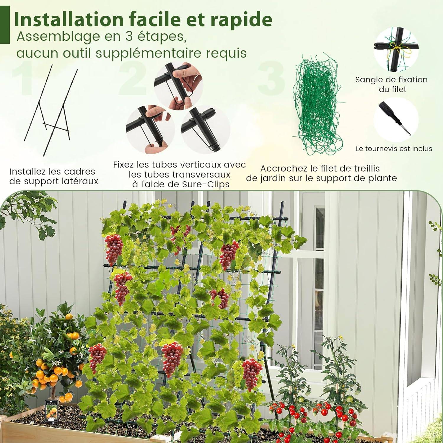 Treillis de Jardin pour Plantes Grimpantes à Cadre en ‘A’ avec Filet, Support Vertical - Image 4
