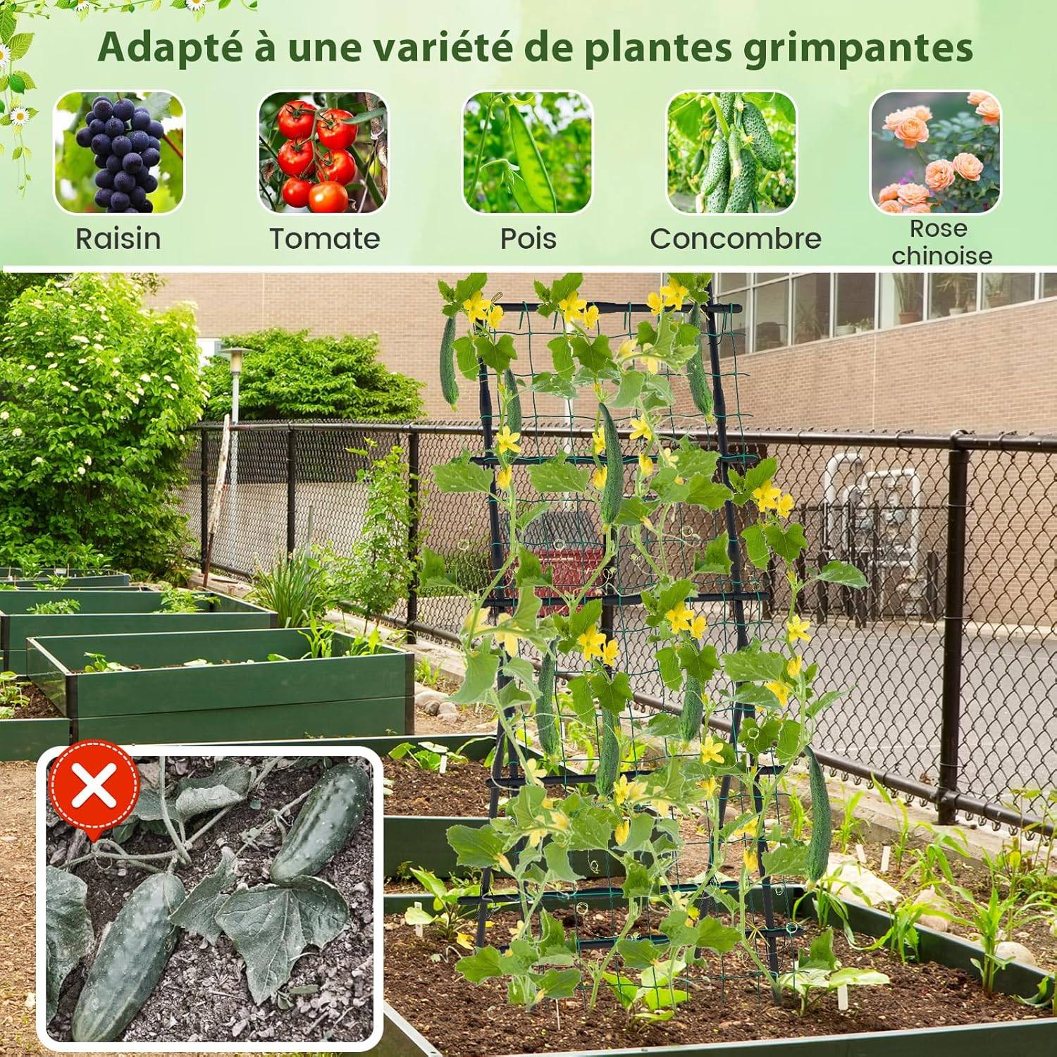 Treillis de Jardin pour Plantes Grimpantes à Cadre en ‘A’ avec Filet, Support Vertical - Image 3
