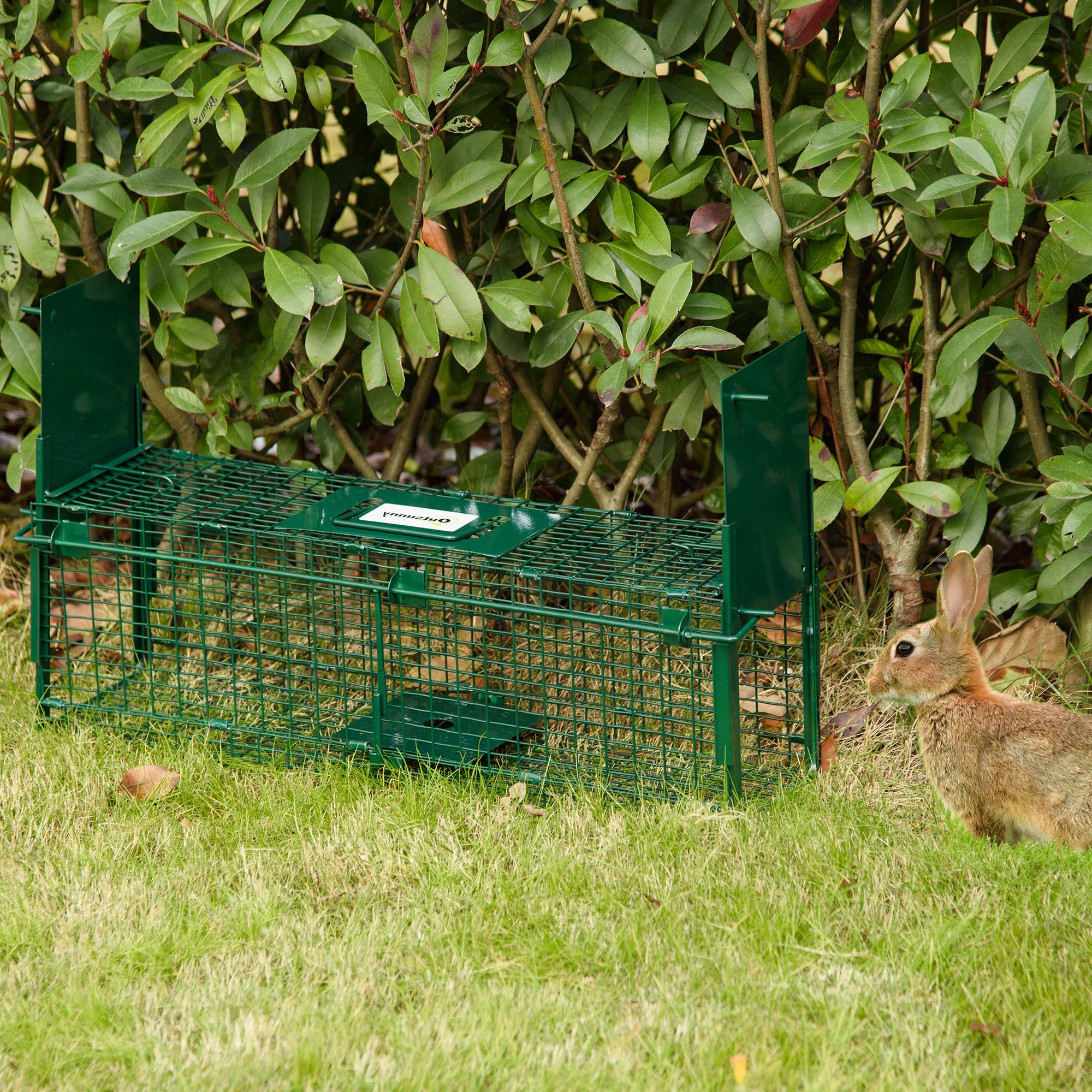 Piège à animaux vivants 60 x 18 x 20 cm avec 2 portes, poignée et cadre en acier pour souris et rongeurs, vert - Image 3