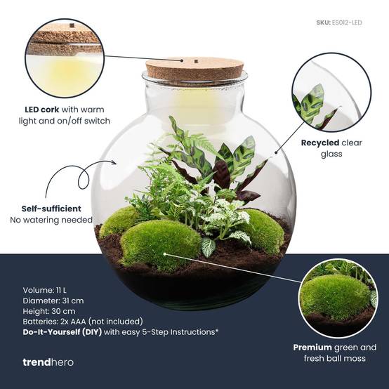 Terrarium à composer bouteille en verre recyclé - Ø31-H30cm - avec râteau et pelle - Calathea White - Terrarium DIY - Image 3