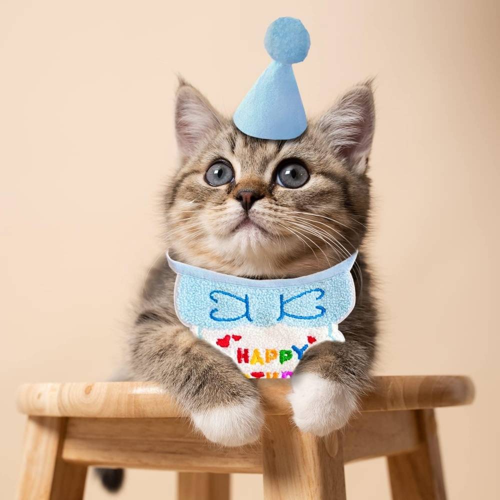 Set fête anniversaire chien/chat - Bandana + chapeau réglables - Motif "Joyeux Anniversaire" - Bleu - Living123 - Image 4