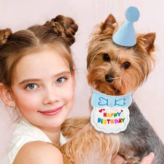Set fête anniversaire chien/chat - Bandana + chapeau réglables - Motif "Joyeux Anniversaire" - Bleu - Living123 - Image 5