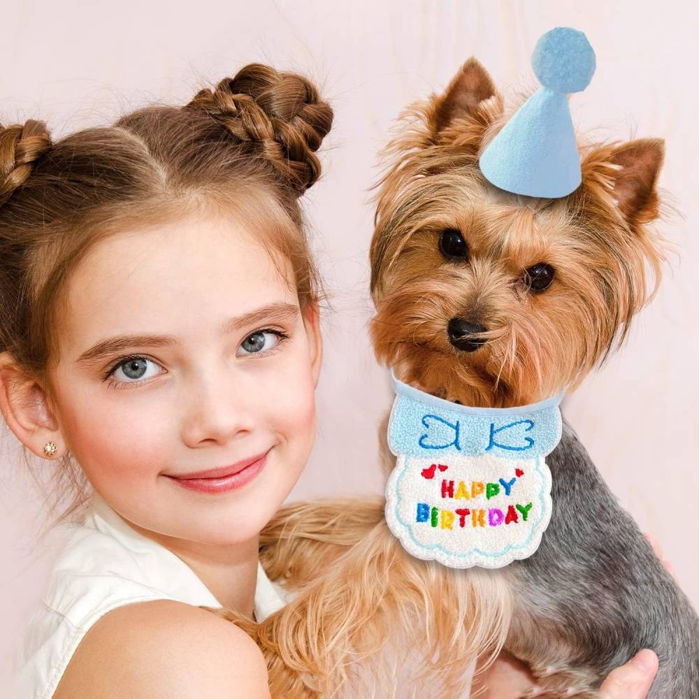 Set fête anniversaire chien/chat - Bandana + chapeau réglables - Motif "Joyeux Anniversaire" - Bleu - Living123 - Image 5
