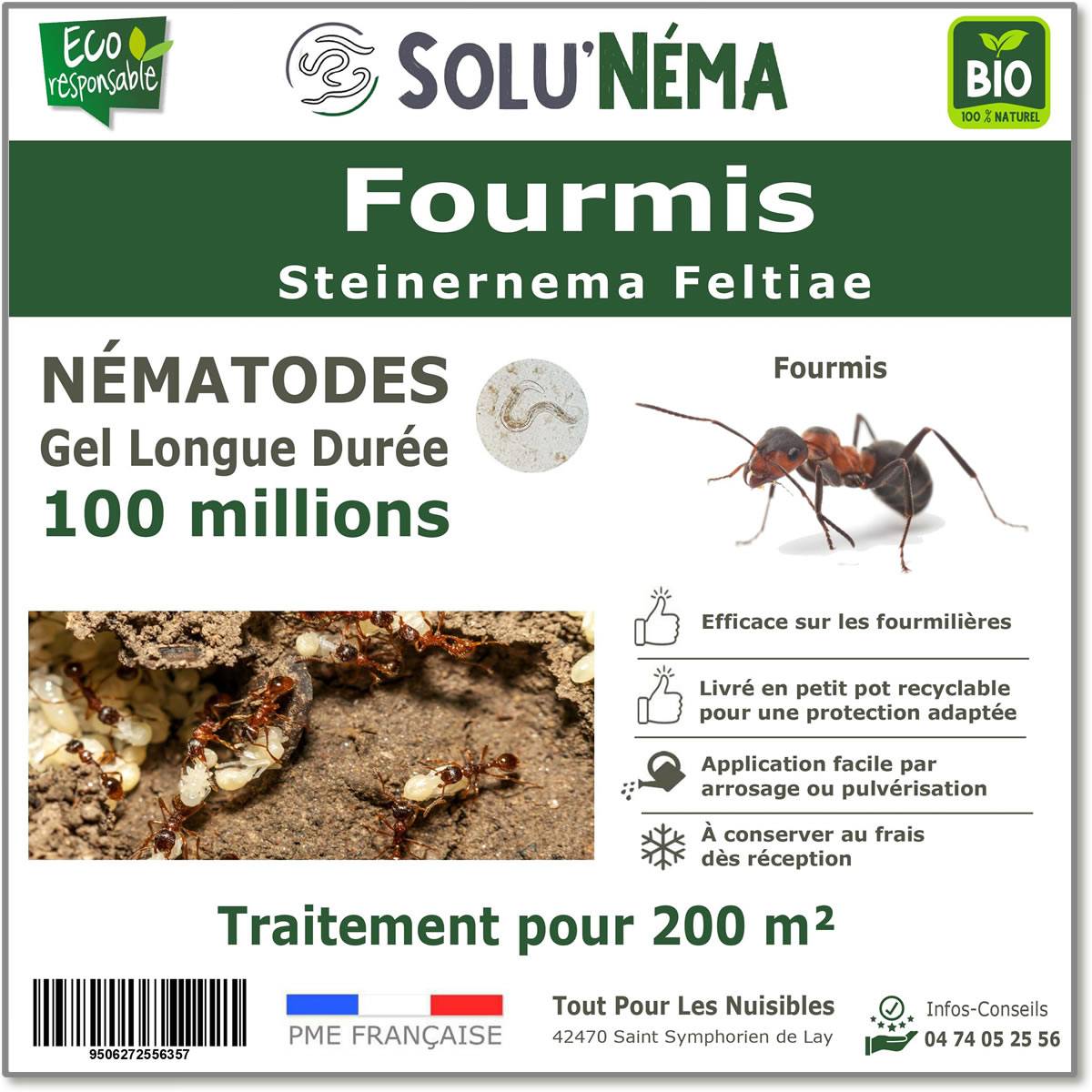 Tout pour les nuisibles - Solunéma - Fourmis - Traitement à base de Nématodes Steinernema feltiae (SF) - 100 millions pour 200m² - Image 1