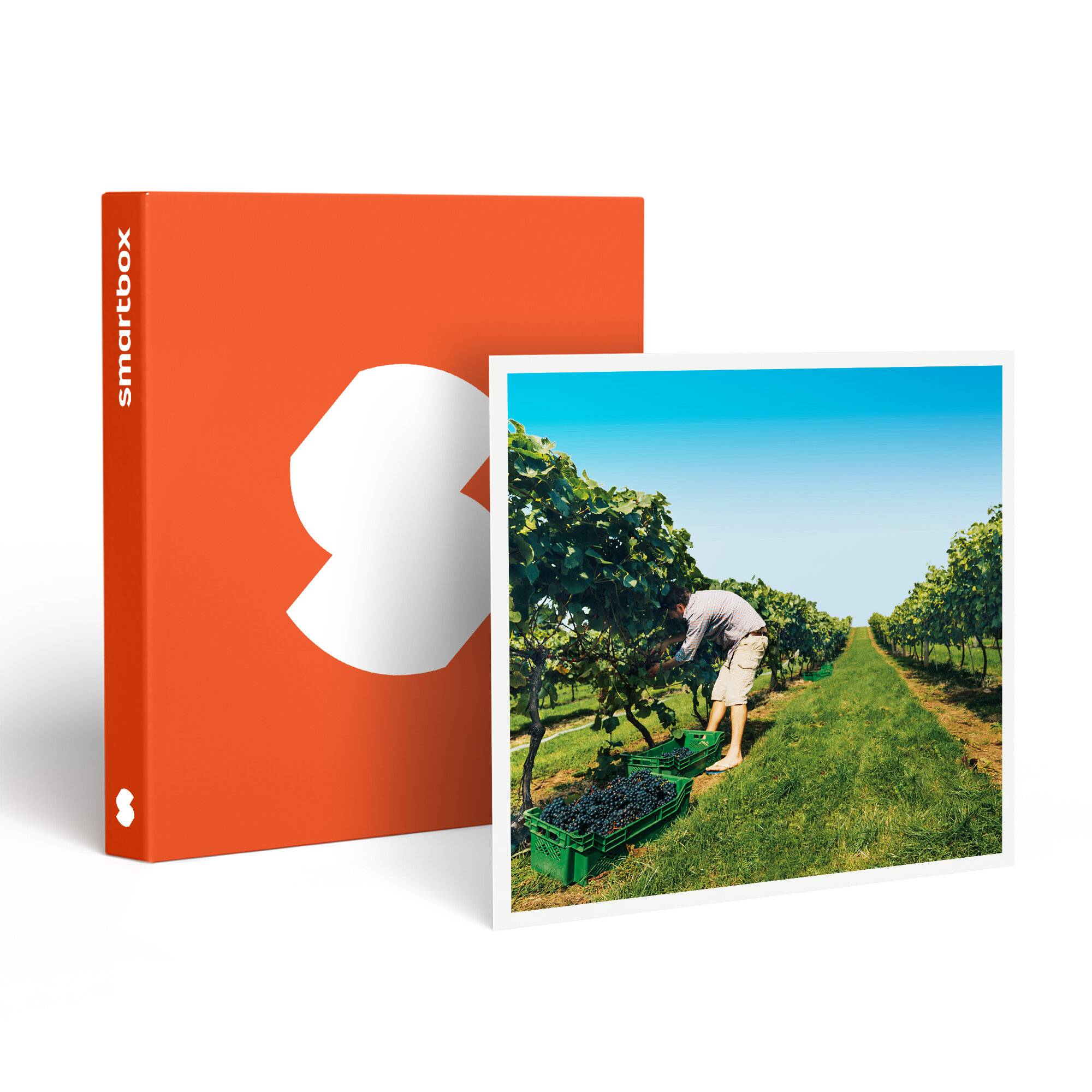 SMARTBOX - Coffret cadeau À la découverte de nos vignobles - Image 1