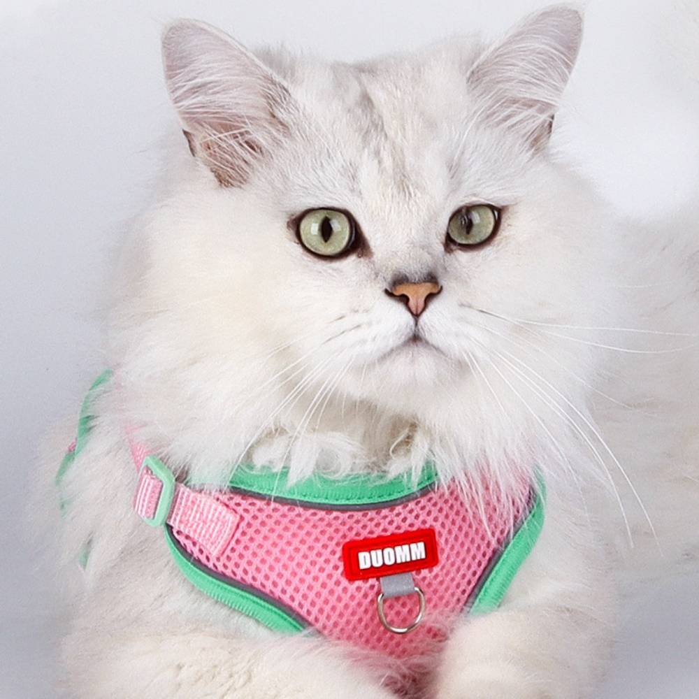IntiMeg - Harnais avec laisse pour chat m - IntiMeg - Image 4