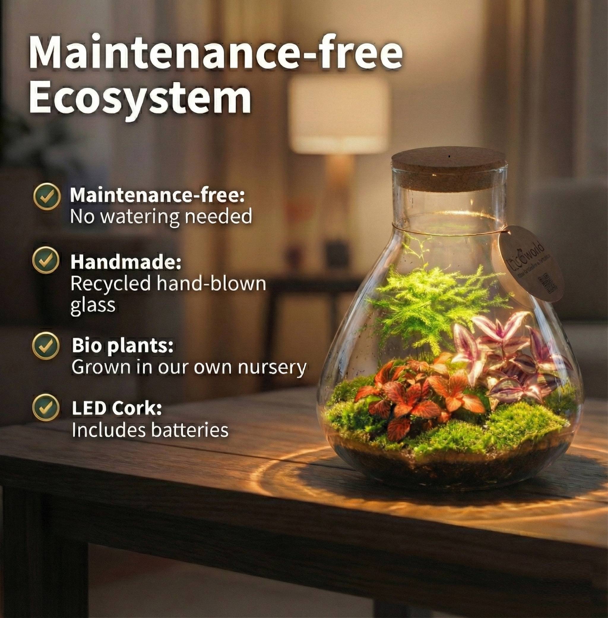 0 - Terrarium de Plantes Ø30 cm - Écosystème - Verre - DIY - Image 3