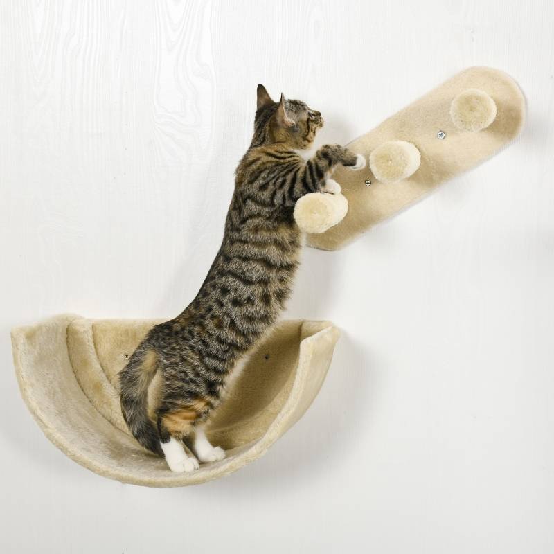 Arbre à chat mural 4 pièces parcours escalade 40 x 28 x 73 cm bois ingénierie sisal peluche beige - PANGIVO - Image 8