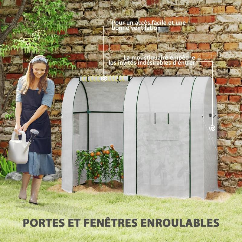 ComfortXL - Serre à Tomates 1,8m² Acier 2 Portes 4 Fenêtres Bâche PE 185x94x150cm Blanc - ComfortXL Outdoor Living - Image 6