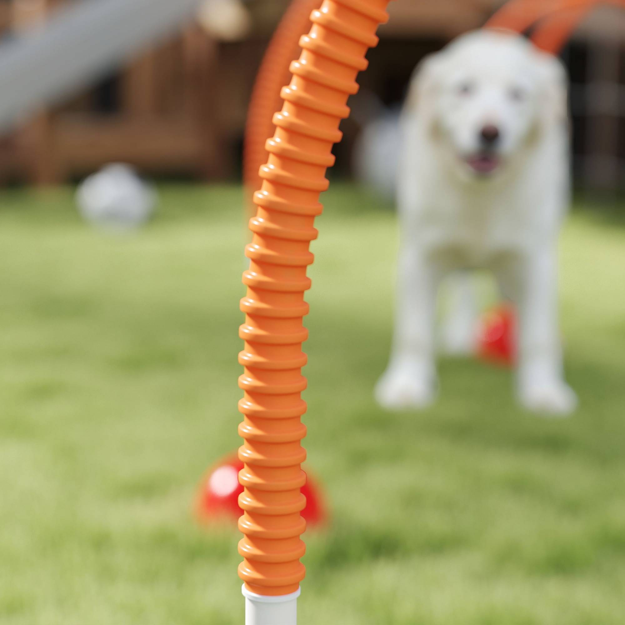 ComfortXL - Kit agilité chien plastique orange 4 portes réglables avec sac de transport - ComfortXL Outdoor Living - Image 10