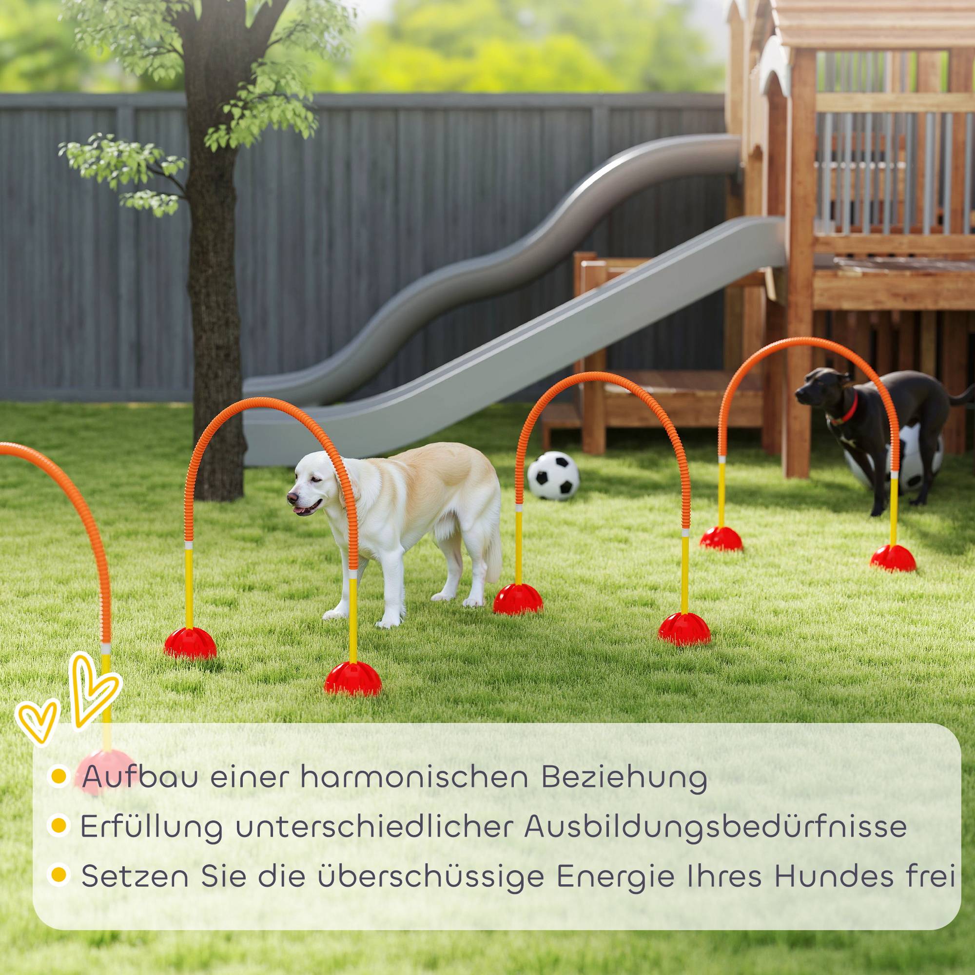 ComfortXL - Kit agilité chien plastique orange 4 portes réglables avec sac de transport - ComfortXL Outdoor Living - Image 9